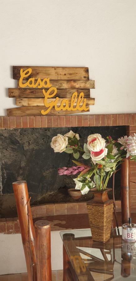 Casa Gialli 卡塔尼亚 外观 照片